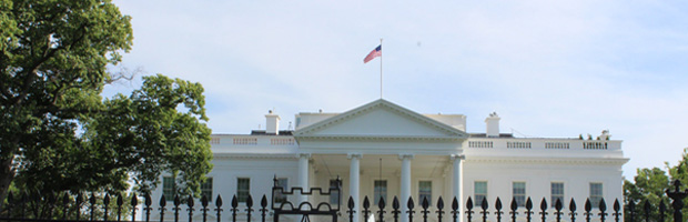 The White House